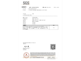 測試報告